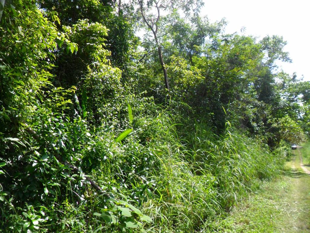 listing image with ID 70128