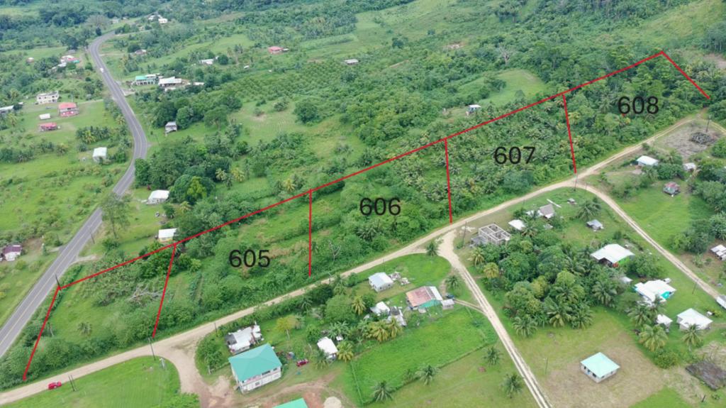 listing image with ID 69817