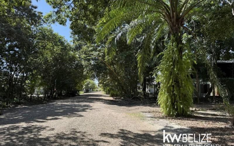 listing image with ID 70536