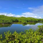 listing image thumbnail with ID 69833