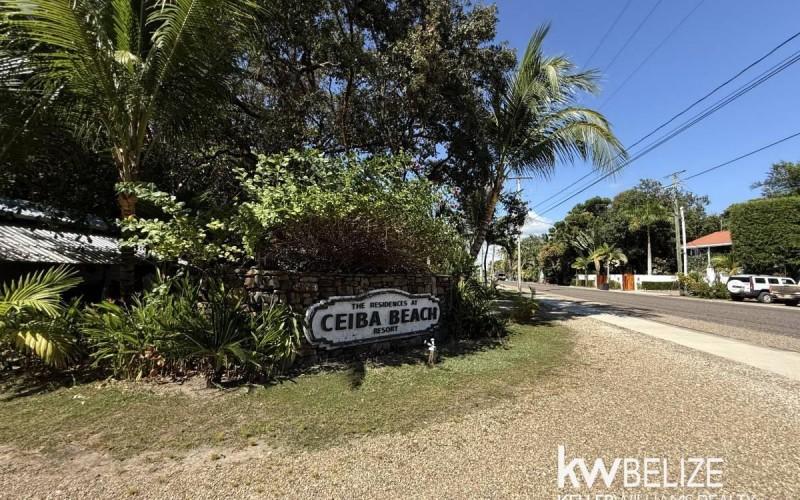 listing image with ID 70538