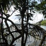 listing image thumbnail with ID 70075