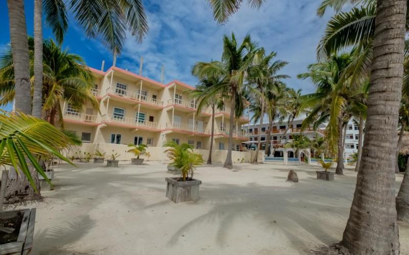 listing image with ID 70597