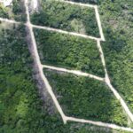 listing image thumbnail with ID 69762