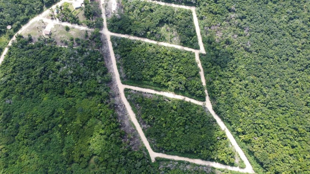 listing image with ID 69762