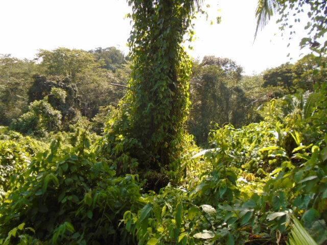 listing image with ID 70157