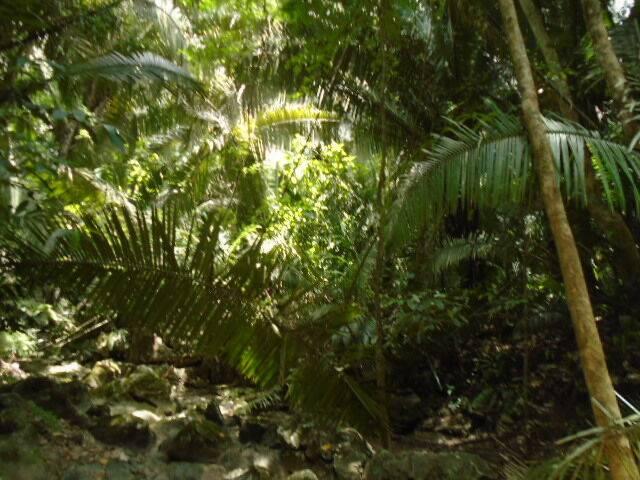 listing image with ID 70097