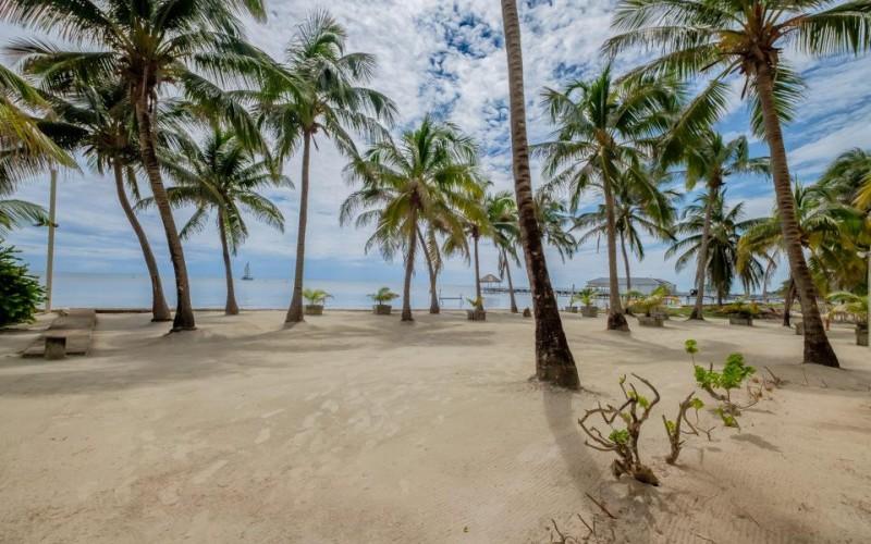 listing image with ID 70598