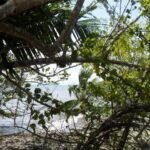 listing image thumbnail with ID 70078