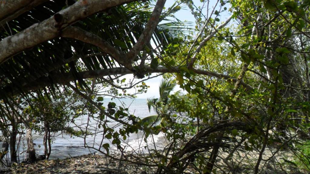 listing image with ID 70078