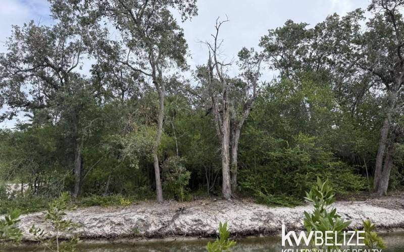 listing image with ID 69546