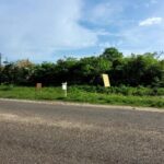 listing image thumbnail with ID 69868