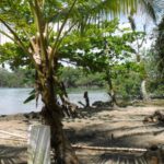 listing image thumbnail with ID 70077