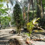 listing image thumbnail with ID 70076