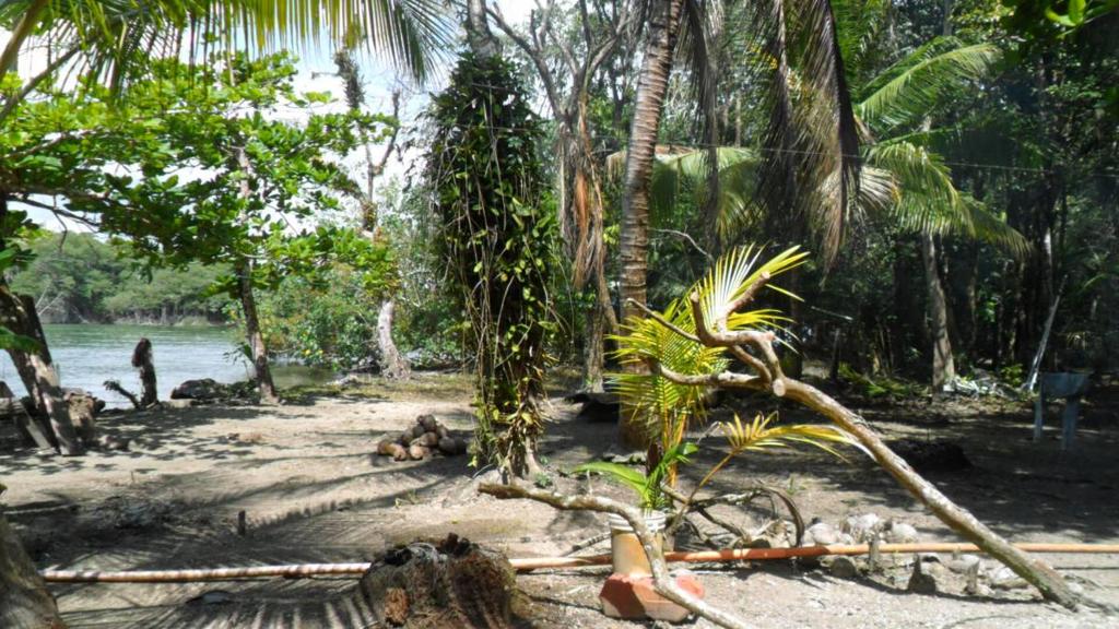 listing image with ID 70076