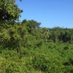 listing image thumbnail with ID 70158