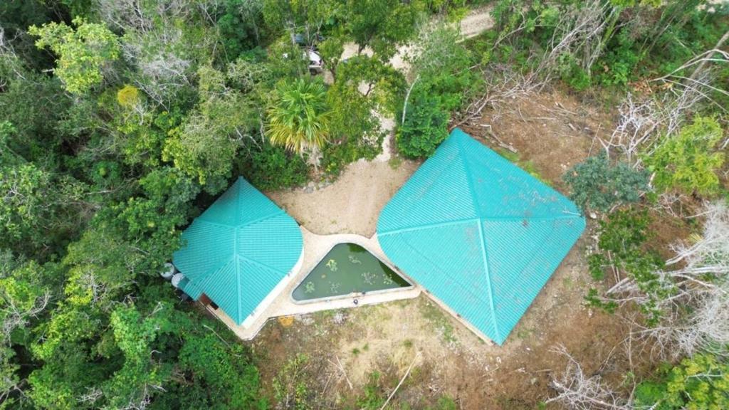 listing image with ID 69906