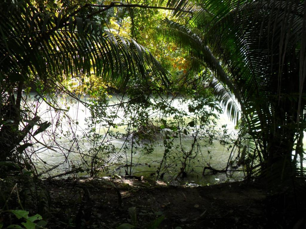 listing image with ID 70122