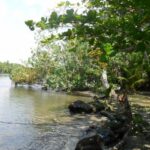 listing image thumbnail with ID 70067