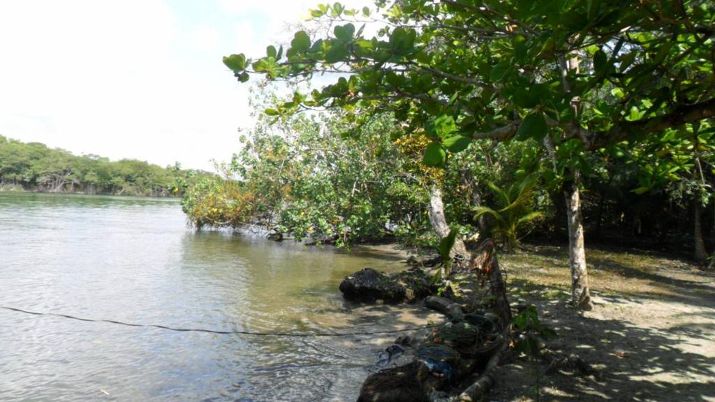 listing image with ID 70067