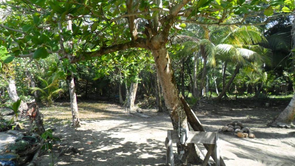 listing image with ID 70069