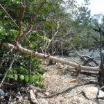 listing image thumbnail with ID 70074