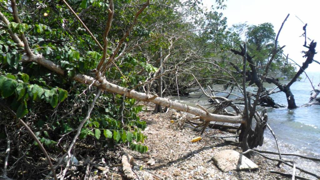 listing image with ID 70074