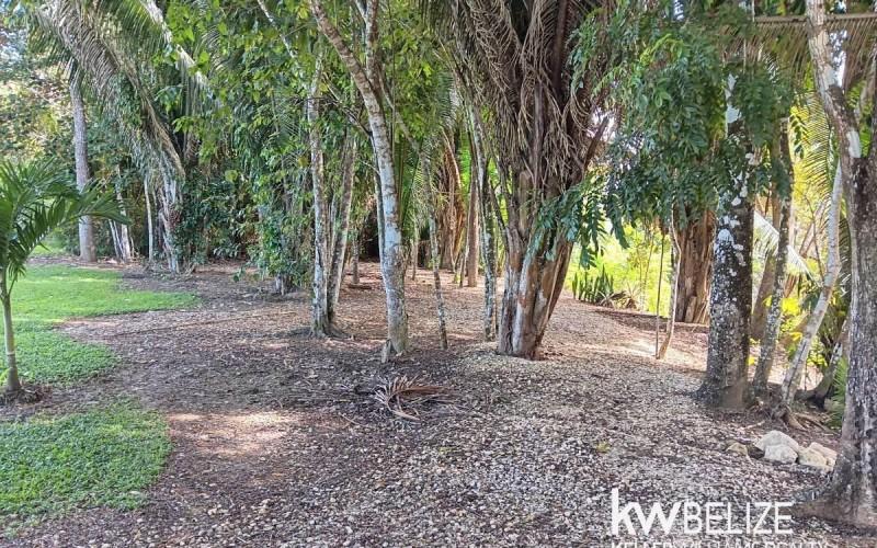 listing image with ID 70669