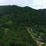 listing image thumbnail with ID 69932