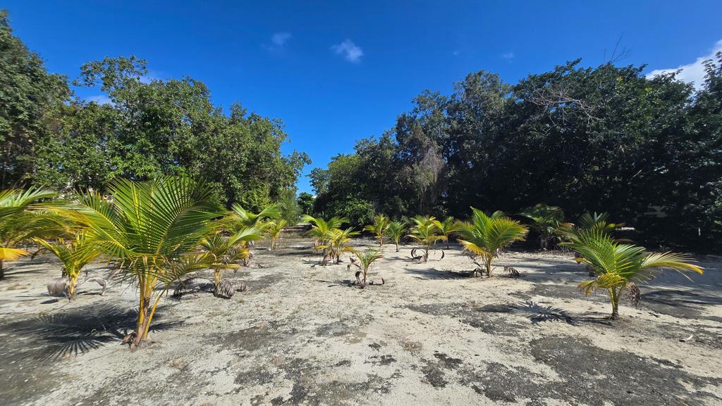 listing image with ID 69785