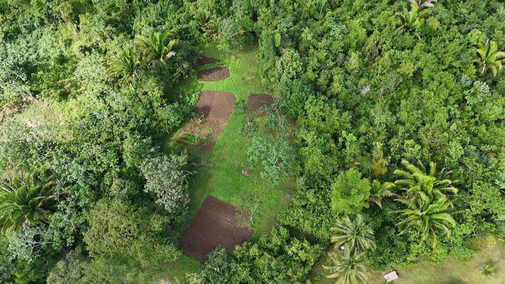 listing image with ID 70895