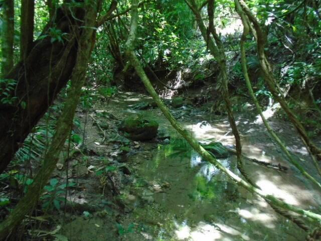 listing image with ID 70094