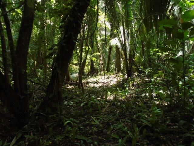 listing image with ID 70090