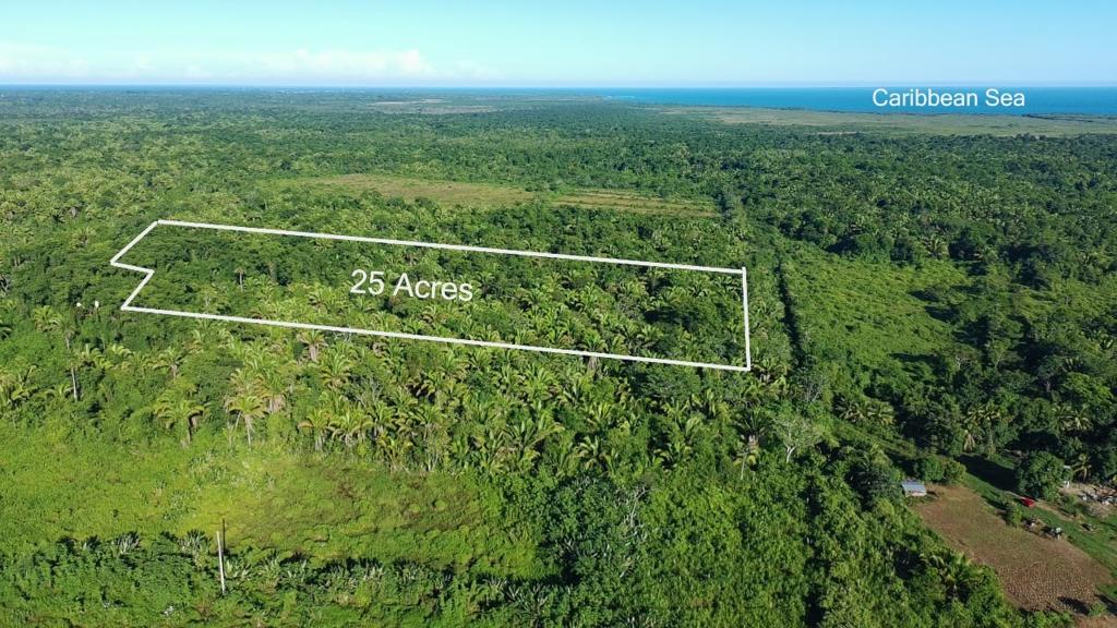 listing image with ID 69949