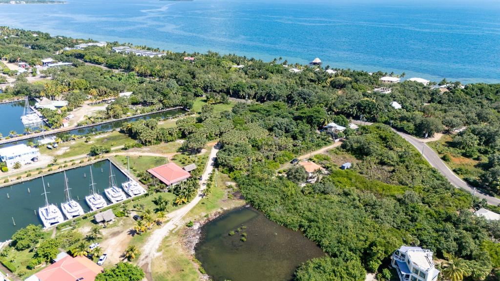 listing image with ID 69622