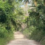 listing image thumbnail with ID 69737