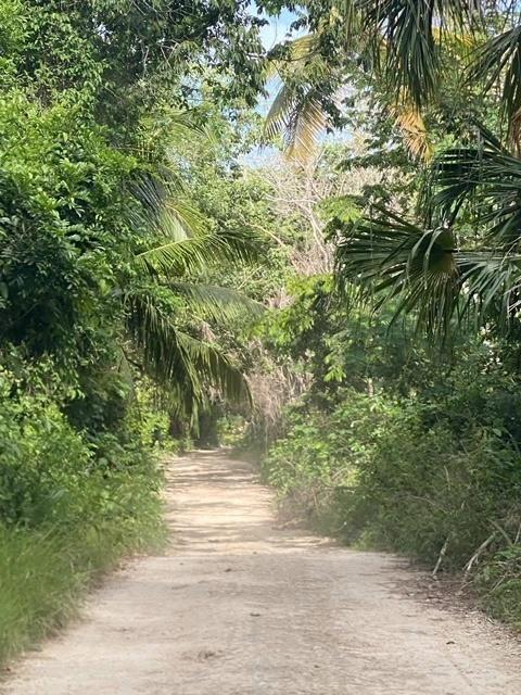 listing image with ID 69737