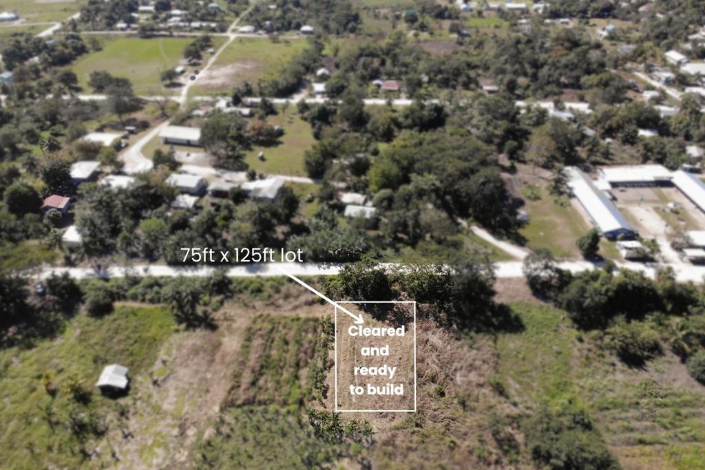 listing image with ID 70952