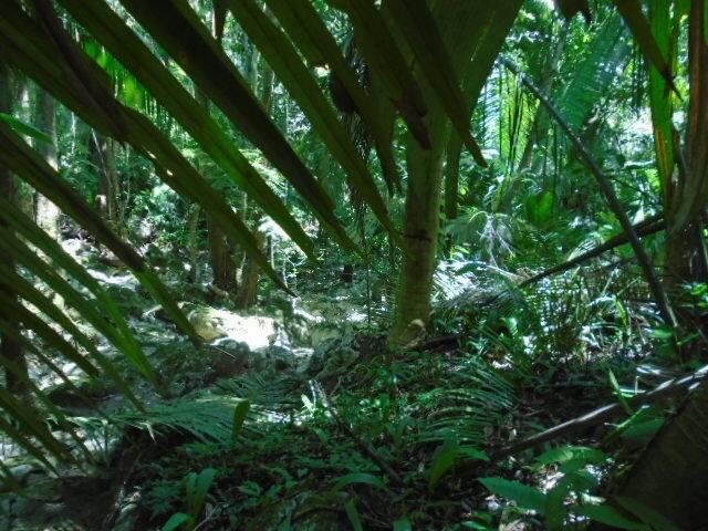 listing image with ID 70087