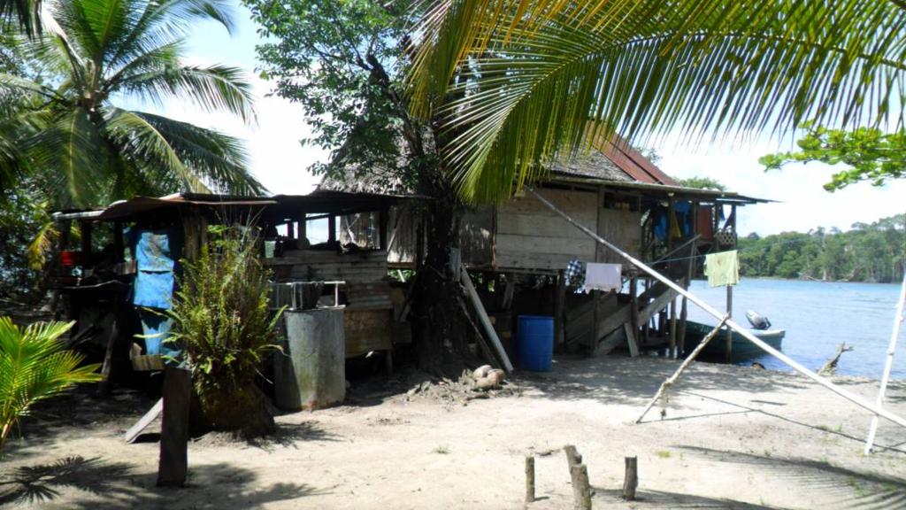 listing image with ID 70079