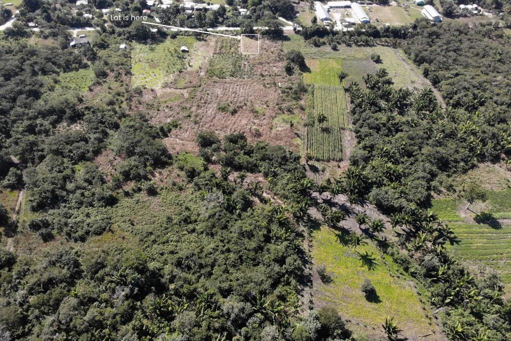 listing image with ID 70954