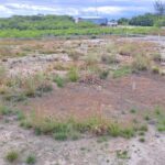 listing image thumbnail with ID 69495