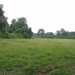 listing image thumbnail with ID 70311