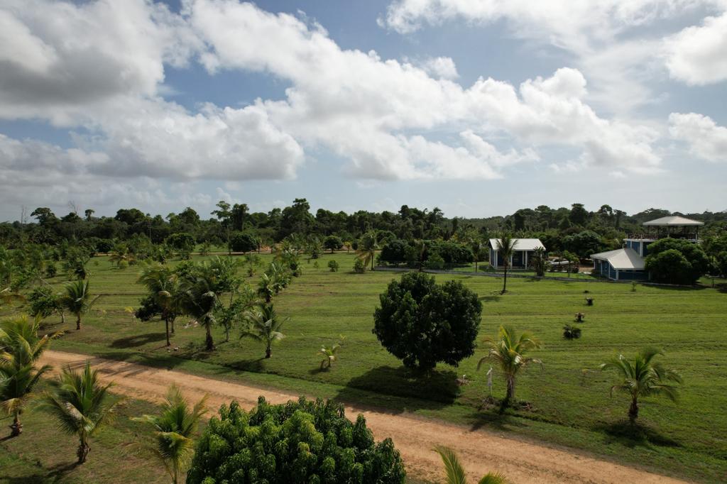 listing image with ID 69715