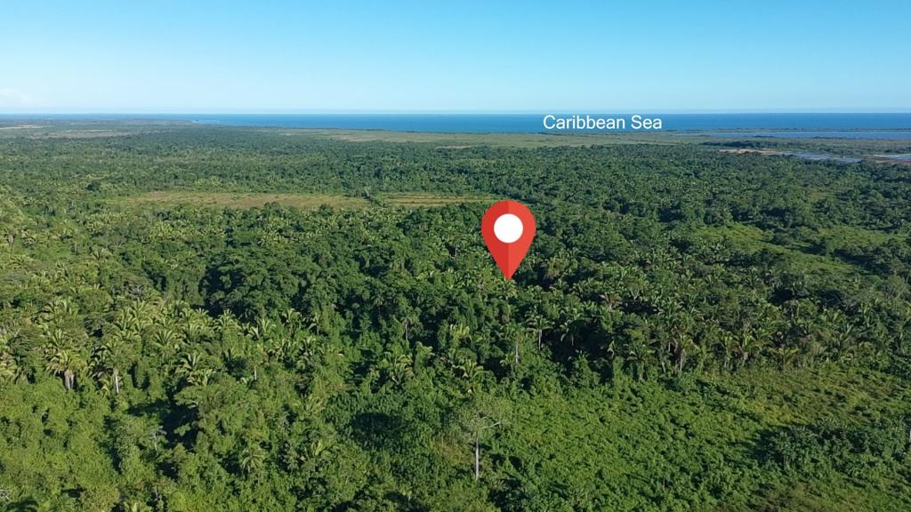 listing image with ID 69952