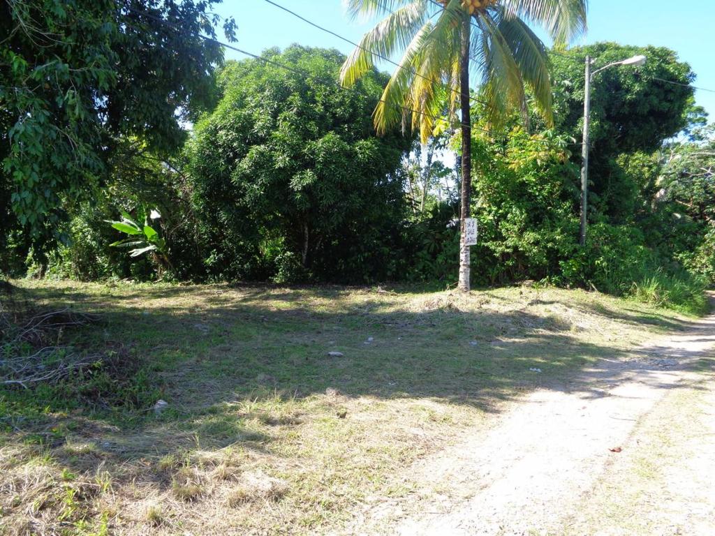 listing image with ID 70197