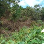 listing image thumbnail with ID 70152