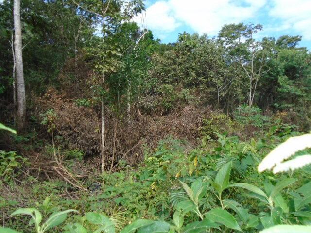 listing image with ID 70152