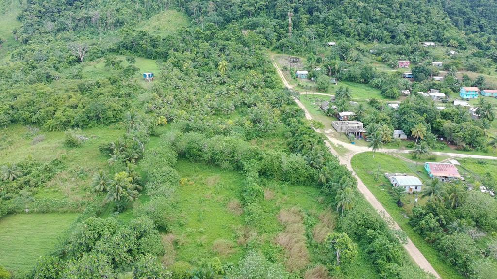 listing image with ID 69933