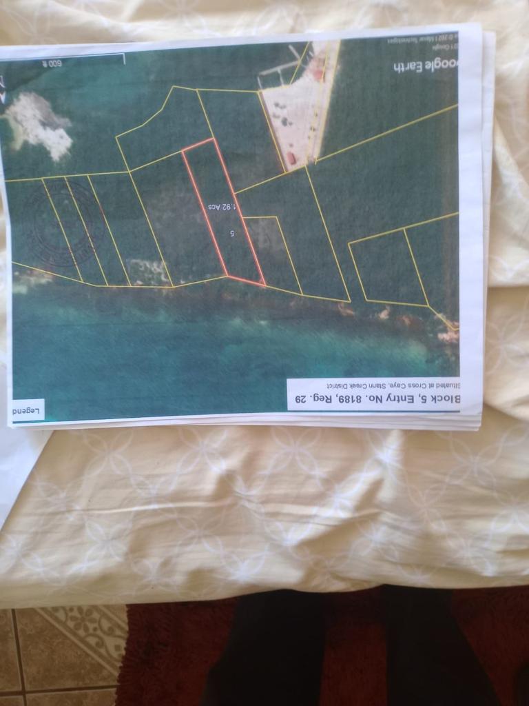 listing image with ID 70359